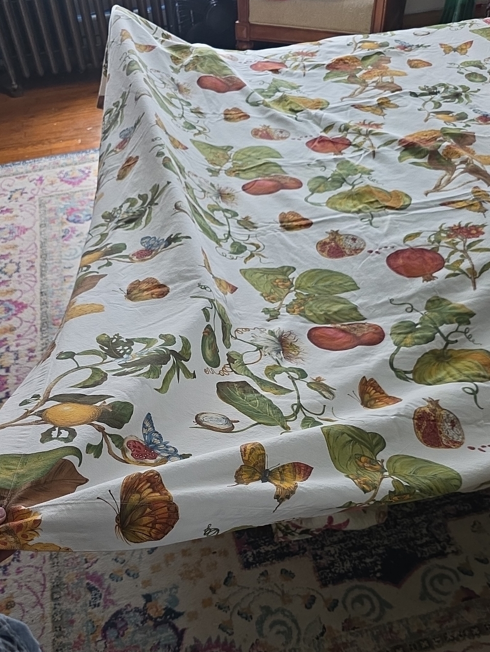 Williams-Sonoma All Season Fruit   Botanical